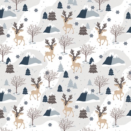 Kétoldalas scrapbook papír - FSP-411