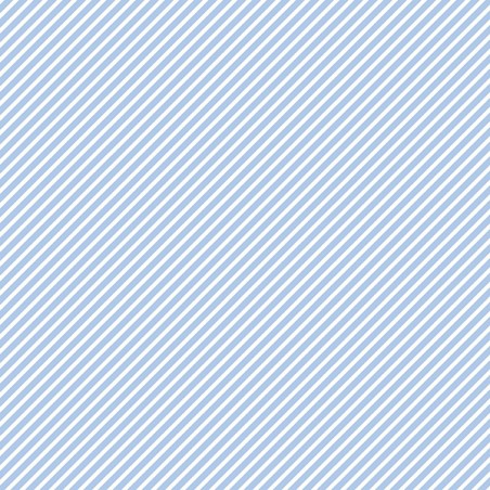 Kétoldalas scrapbook papír - FSP-411