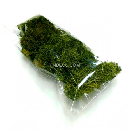 Dekorzuzmó - Zöld - 15g