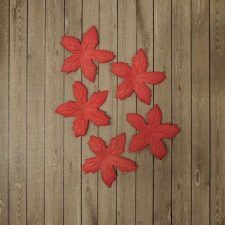 Papír mikulásvirág