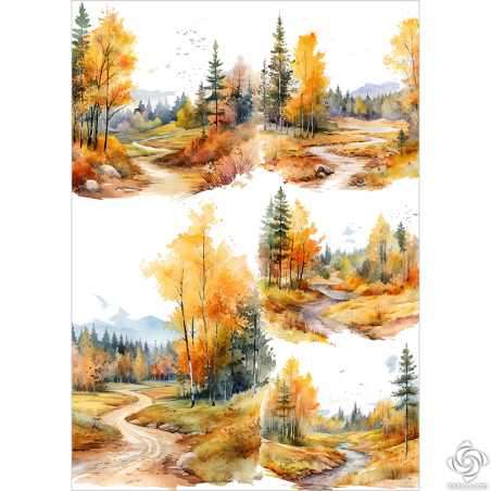 Rizspapír - A4 - FPR-0332 - Ősz az erdőben