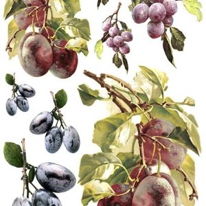 Rizspapir - A4 - R435