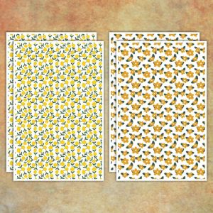 Transzfer papír - FTR-0105